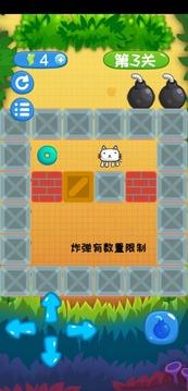 爆炸猫推箱子游戏截图2