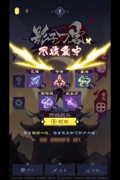 影子刀客游戏截图1