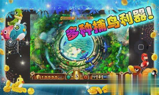 捕鸟达人游戏截图2