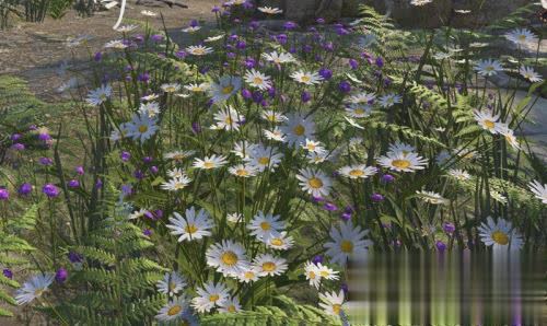 剑侠情缘谢云流传游戏截图2