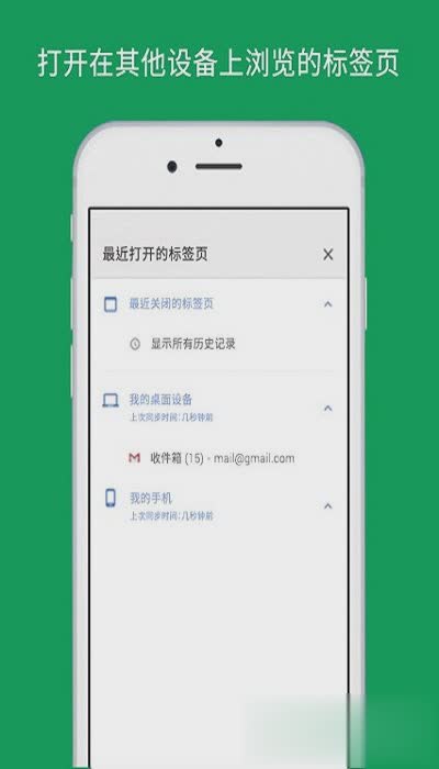 谷歌极速浏览器软件截图4