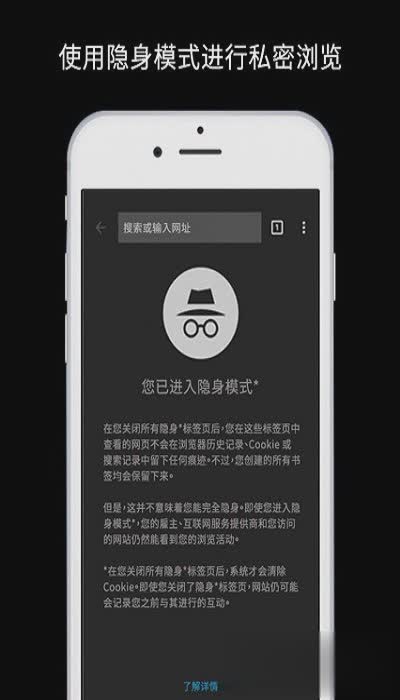 谷歌极速浏览器软件截图1