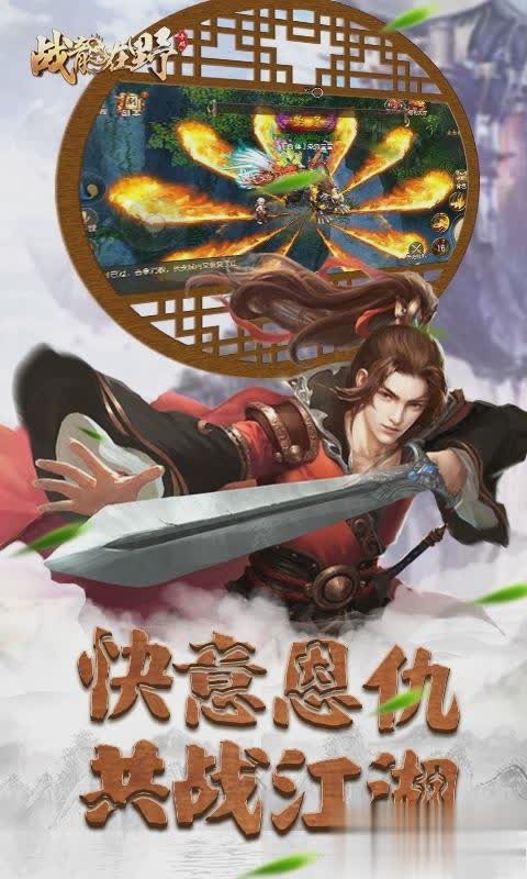 战龙在野游戏截图2