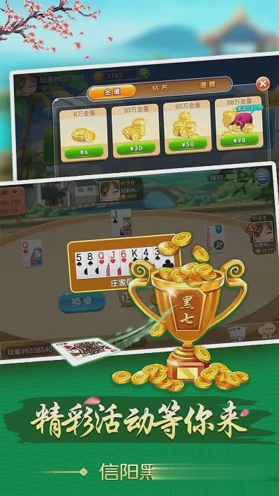 信阳黑七游戏截图2