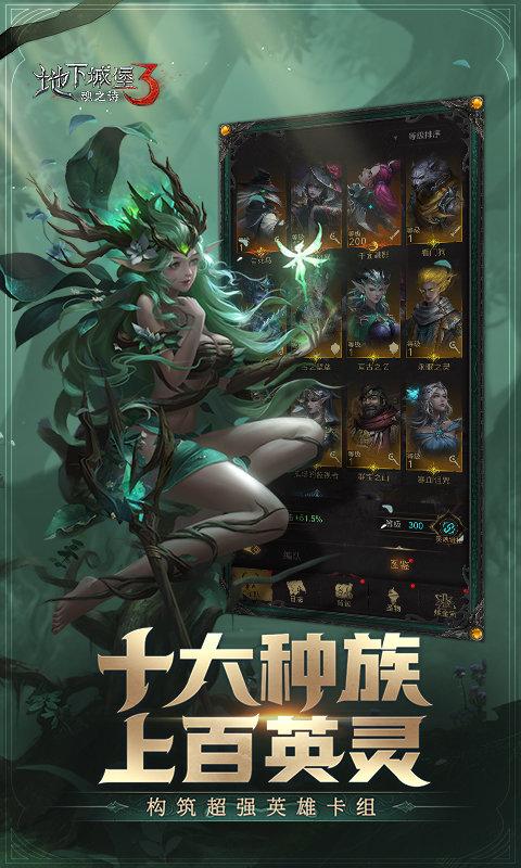 地下城堡3游戏截图2