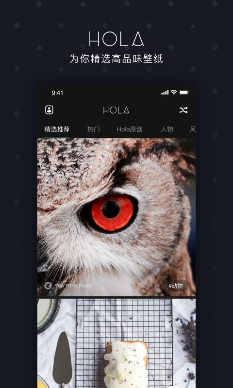 hola软件截图2