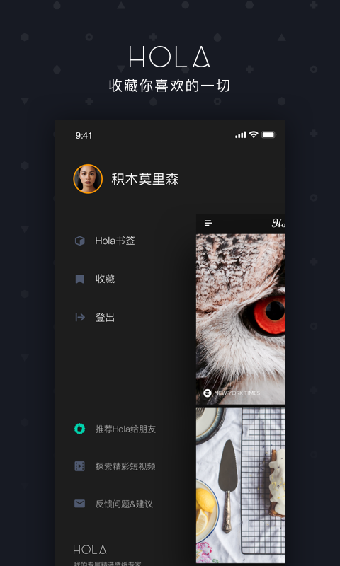hola软件截图4
