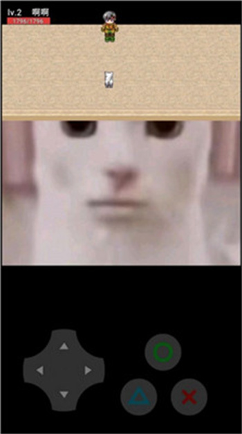 猫咪惊魂游戏截图1
