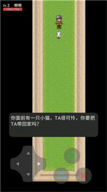 猫咪惊魂游戏截图2