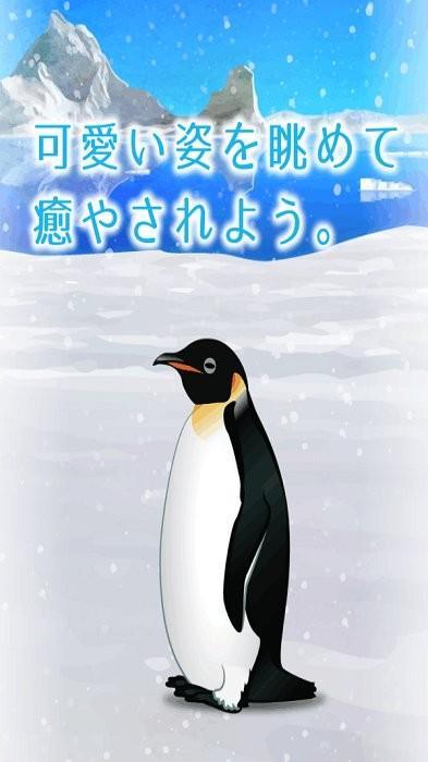 治愈的养成企鹅游戏截图1