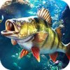 欢乐钓鱼大师 内购版本