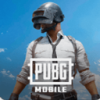 pubg绝地求生 手机版